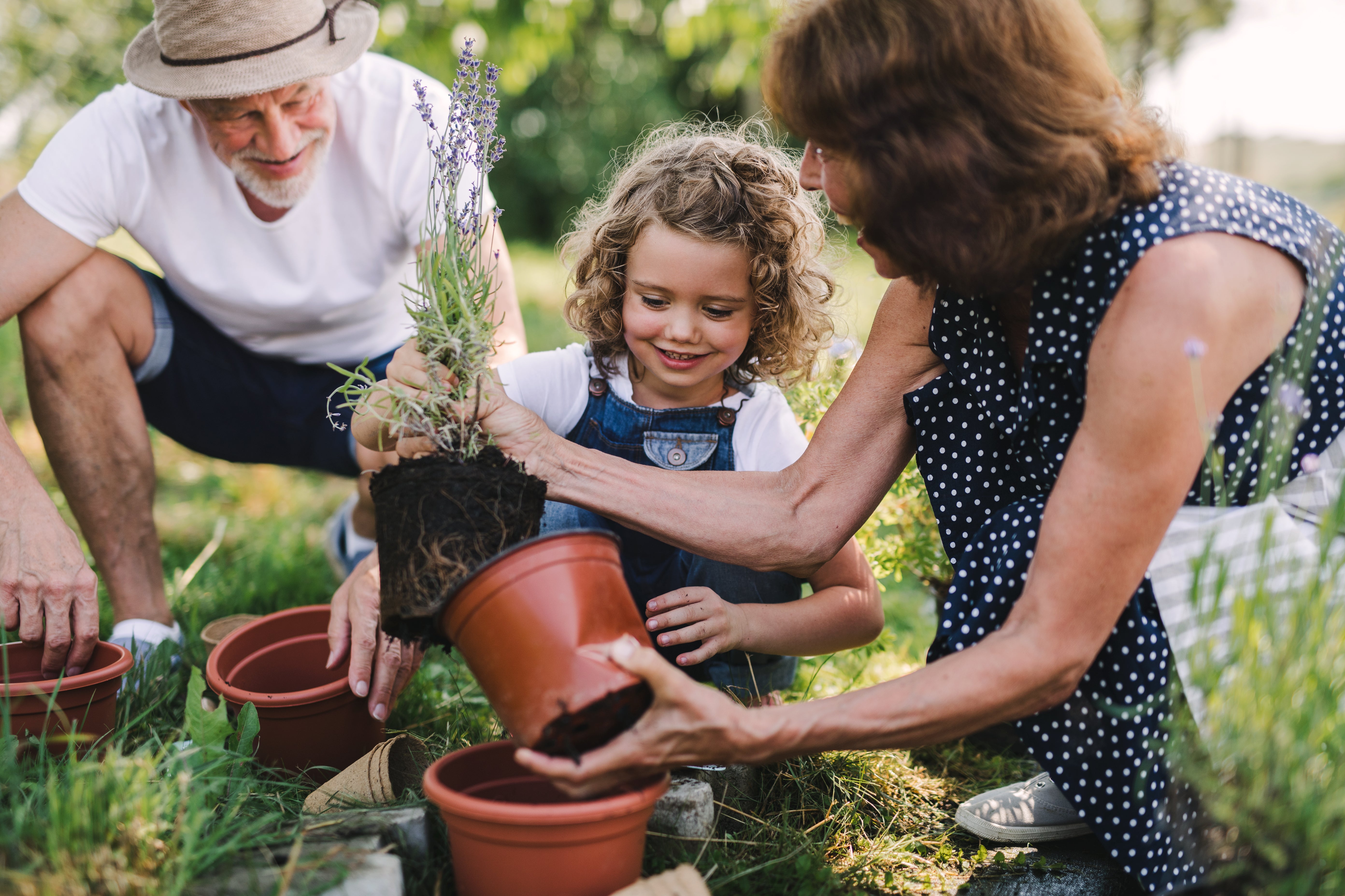 3 Simple Ways Homeowners Can Conserve Water This Summer