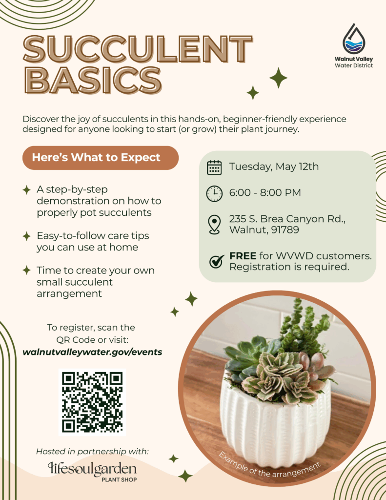 Flyer for a “Succulent Basics” workshop on May 12th, 6–8 PM at 235 S. Brea Canyon Rd., with step-by-step instructions, care tips, and a free succulent arrangement for attendees.